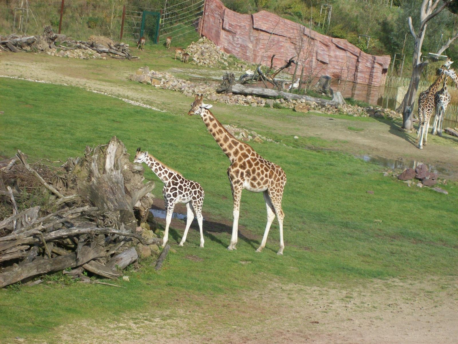 Zoom 18.10.2008-114.jpg